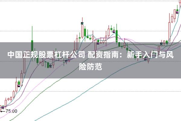 中国正规股票杠杆公司 配资指南：新手入门与风险防范