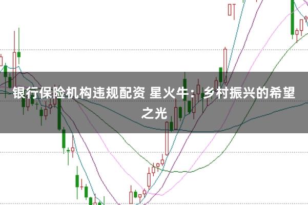 银行保险机构违规配资 星火牛：乡村振兴的希望之光
