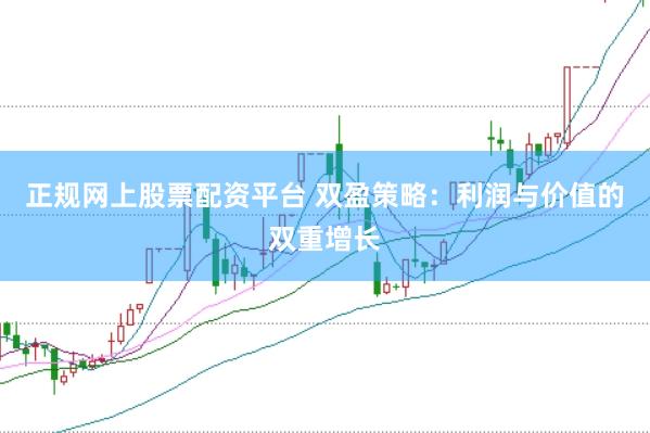 正规网上股票配资平台 双盈策略：利润与价值的双重增长
