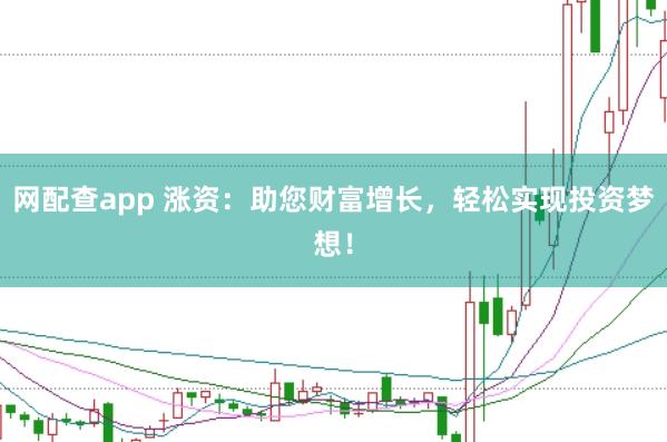 网配查app 涨资：助您财富增长，轻松实现投资梦想！
