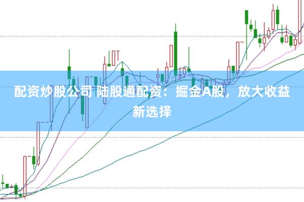 配资炒股公司 陆股通配资：掘金A股，放大收益新选择